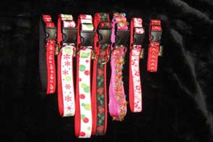 Buckle Collar