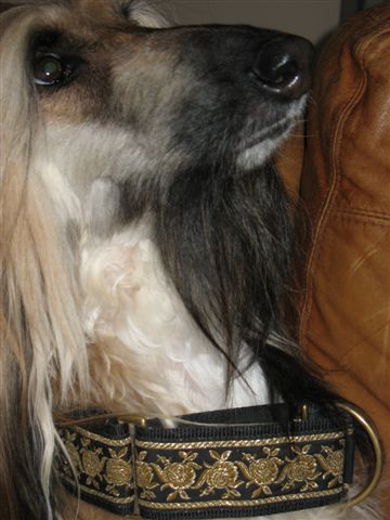 Martingale