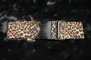 Buckle Collar